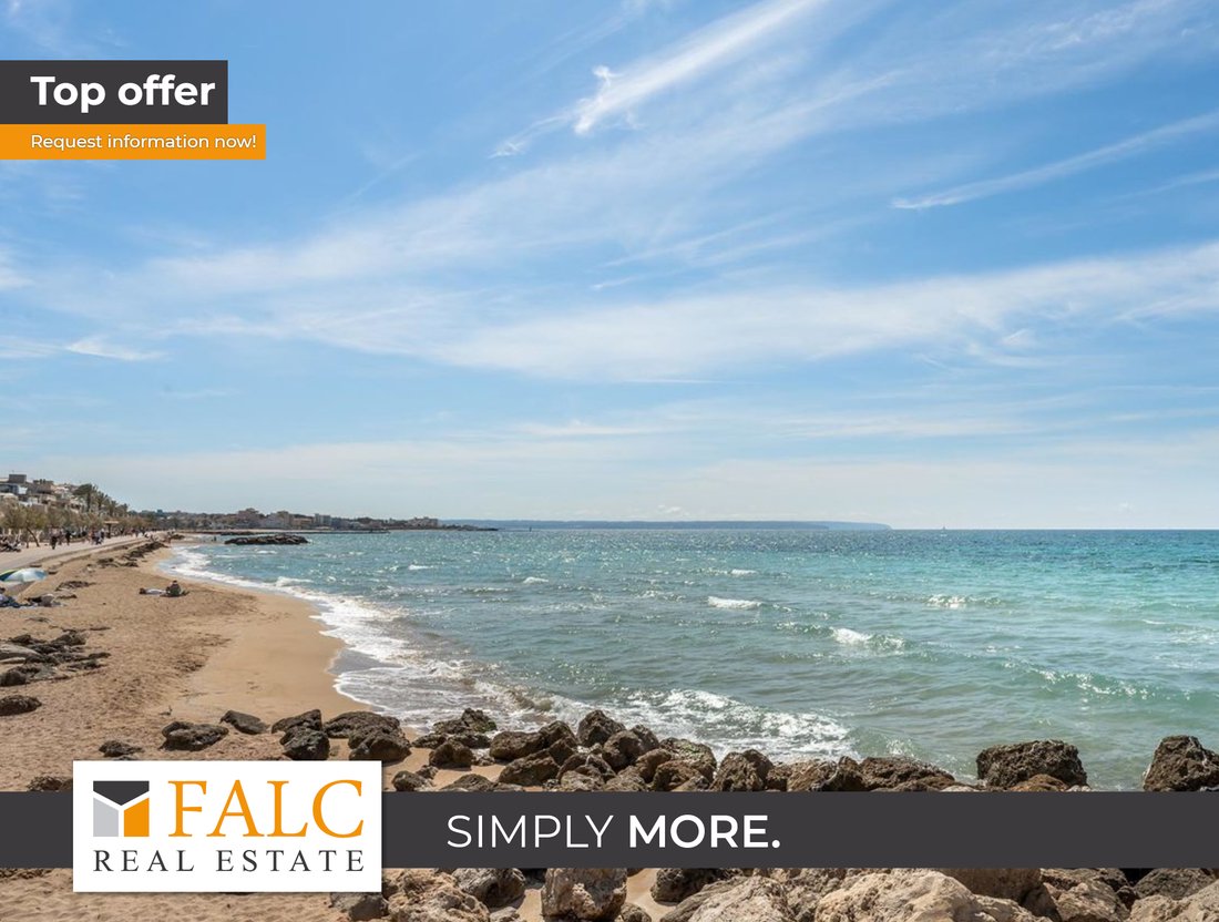 Land in Palma, Balearic Islands, Spain 1 - 17141027