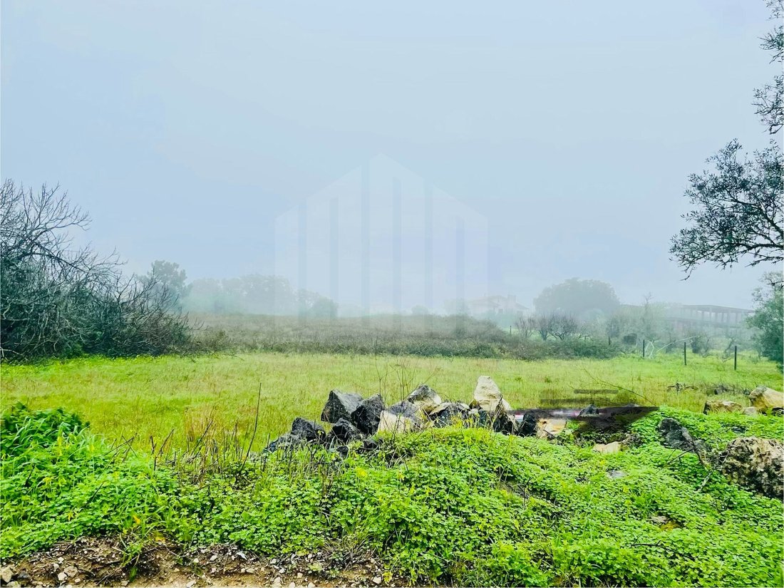 Land in Santiago, Setubal, Portugal 4 - 17143026