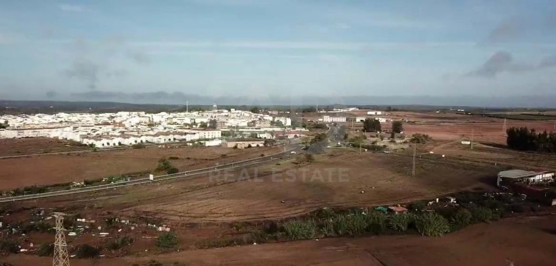 Land in Gibraleon, Andalusia, Spain 4 - 17145765