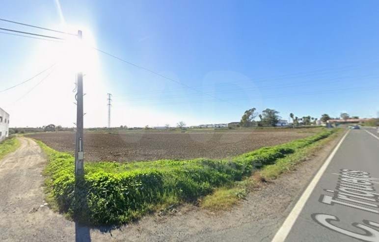 Land in Gibraleon, Andalusia, Spain 5 - 17145765