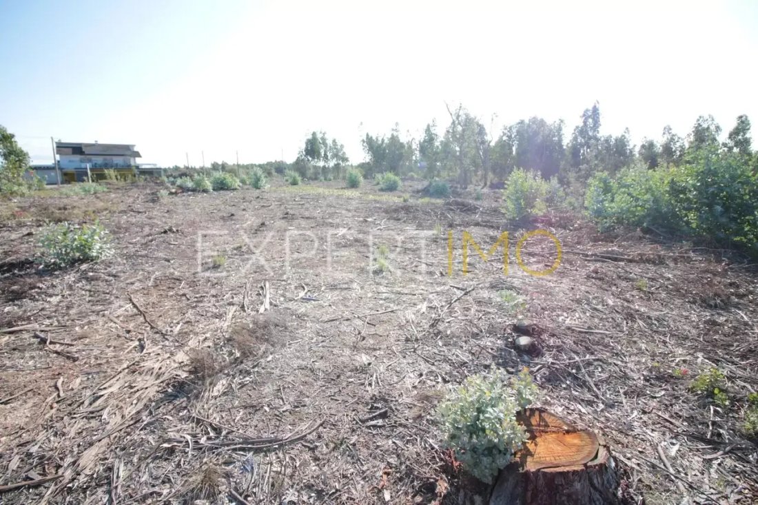 Land in Marrazes, Leiria District, Portugal 5 - 17144626