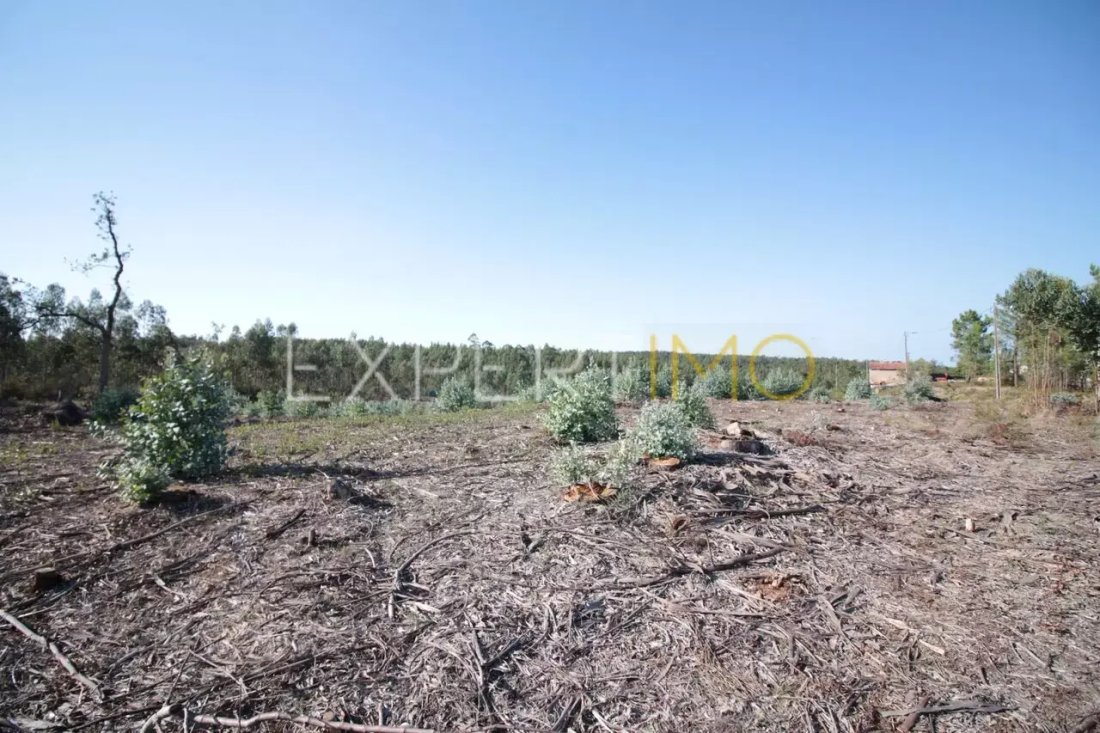 Land in Marrazes, Leiria District, Portugal 3 - 17144626