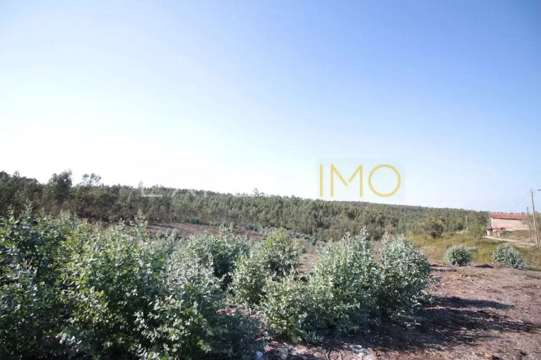Land in Marrazes, Leiria District, Portugal 4 - 17144626