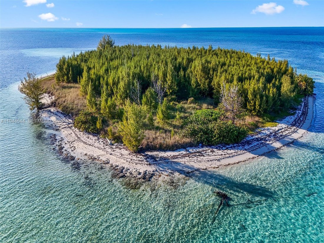 Land in Bahama, North Carolina, United States 5 - 17144990