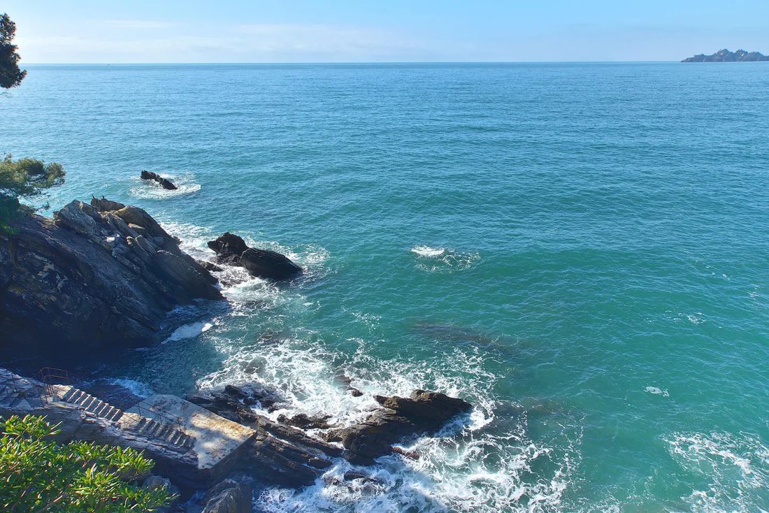 Apartment in Zoagli, Liguria, Italy 3 - 17145012