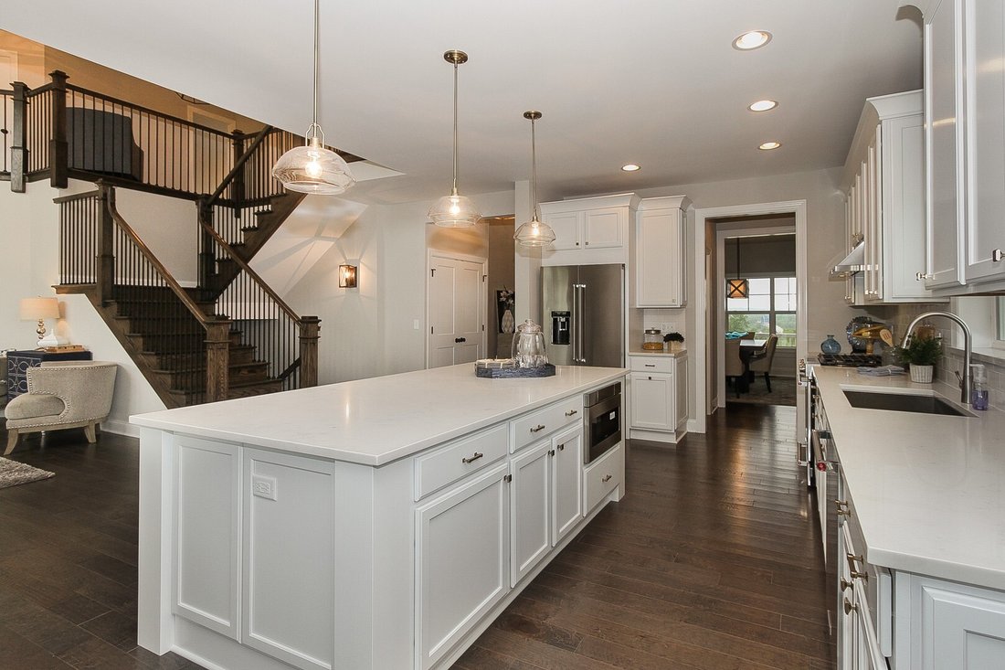 House in Lemont, Illinois, United States 4 - 17146014