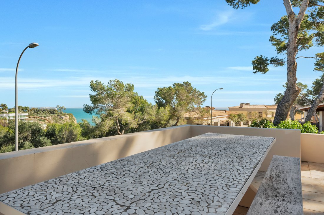 Villa in Sol de Mallorca, Calvia, Balearic Islands 4 - 17146325