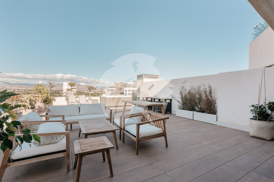 Apartment in Alicante, Valencian Community, Spain 2 - 17147647