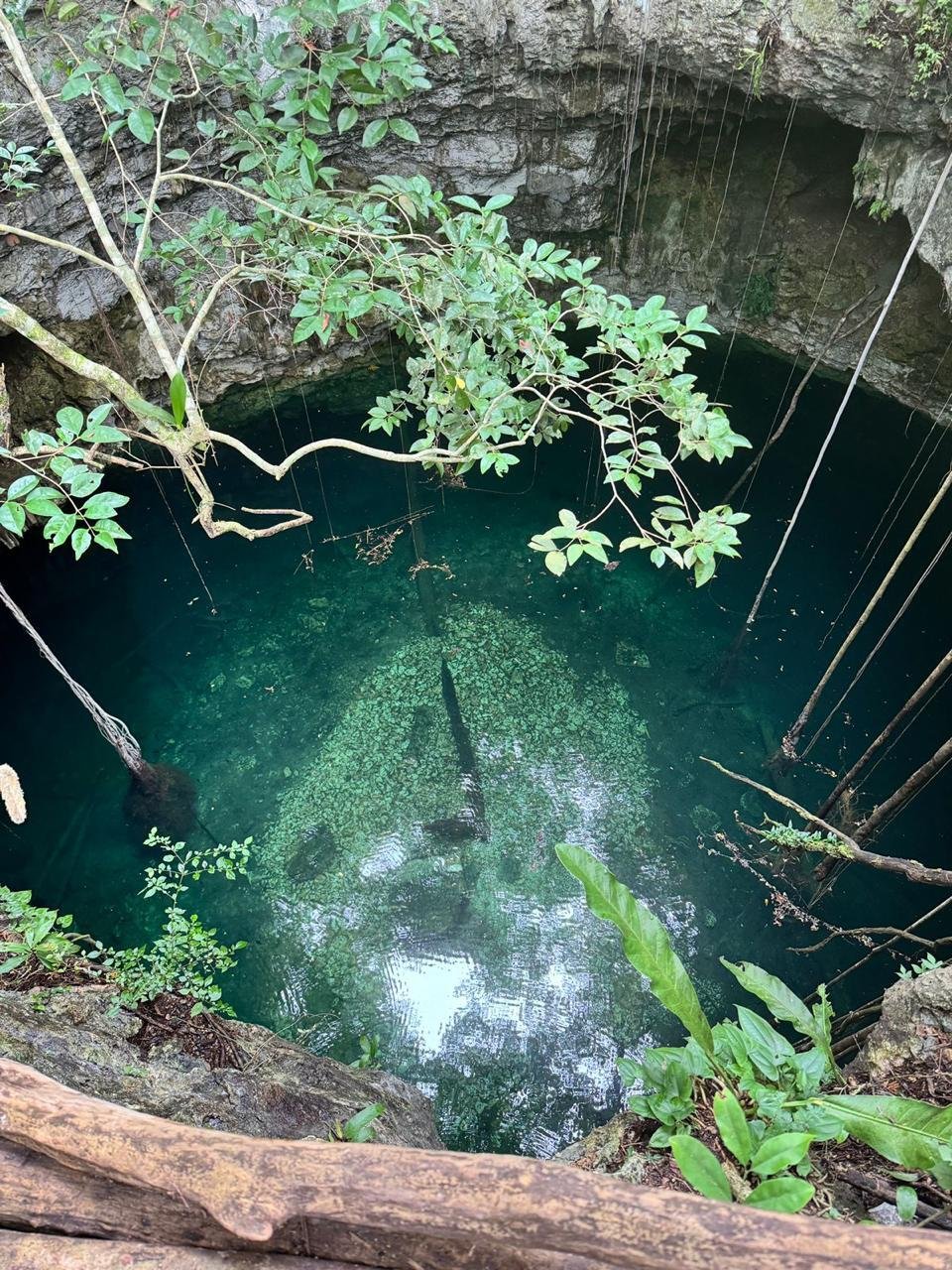 Land in Yalcobá, Yucatan, Mexico 5 - 17147022