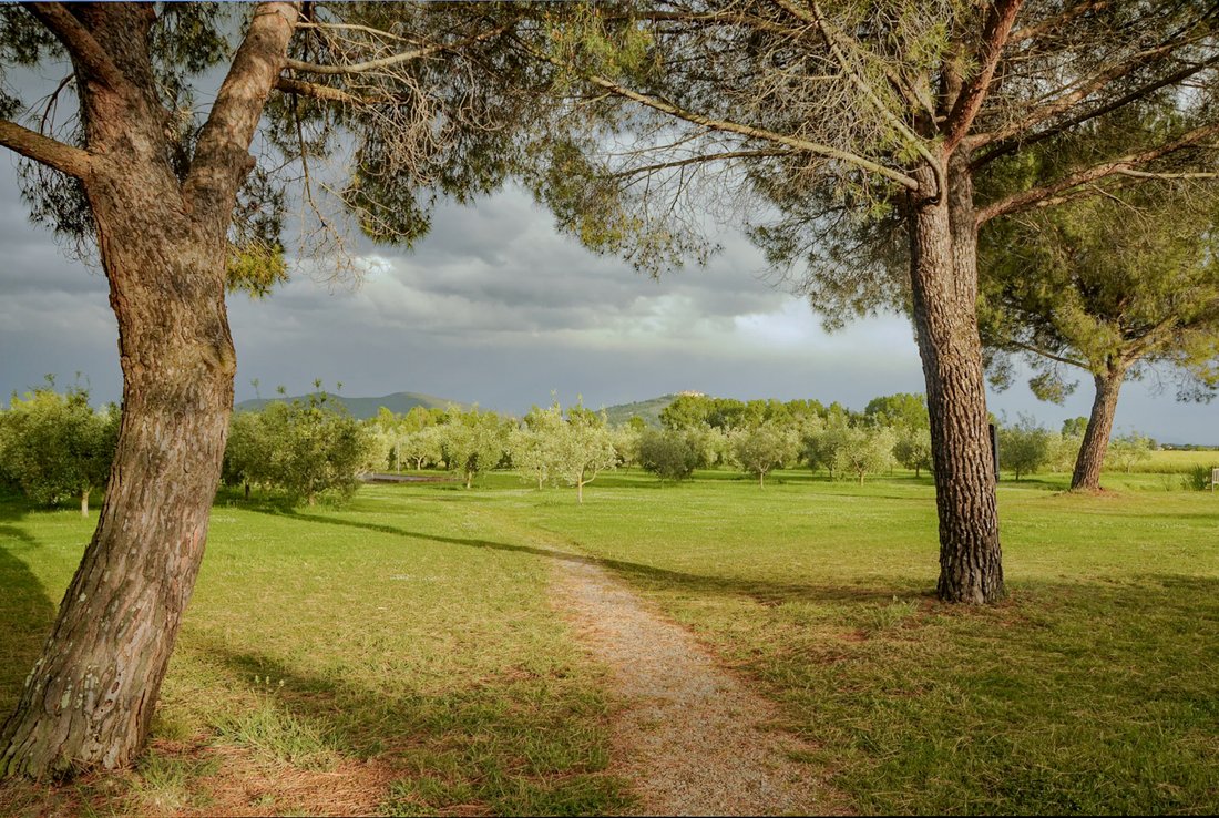 Villa in Roccastrada, Tuscany, Italy 5 - 17147468