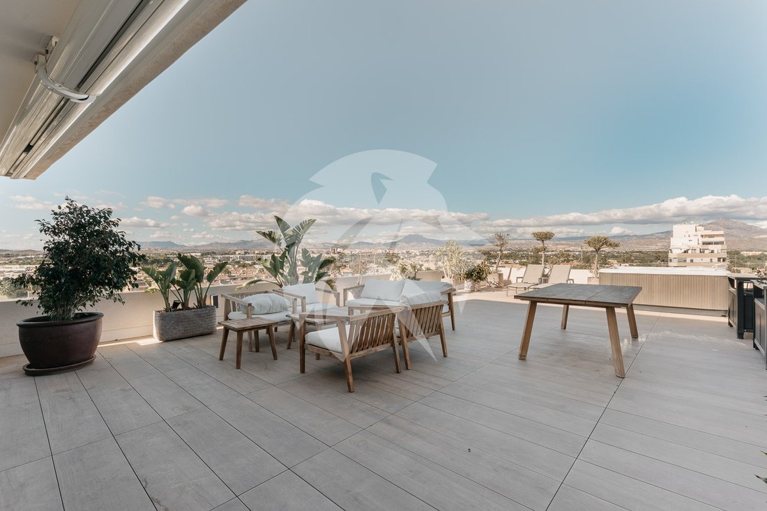 Apartment in Alicante, Valencian Community, Spain 3 - 17147647