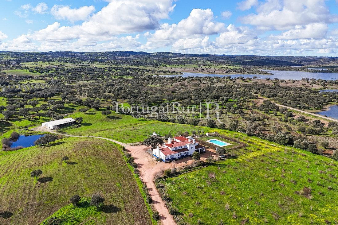 Finca in Terena (Sao Pedro), Distrikt Évora, Portugal 3 - 10815985