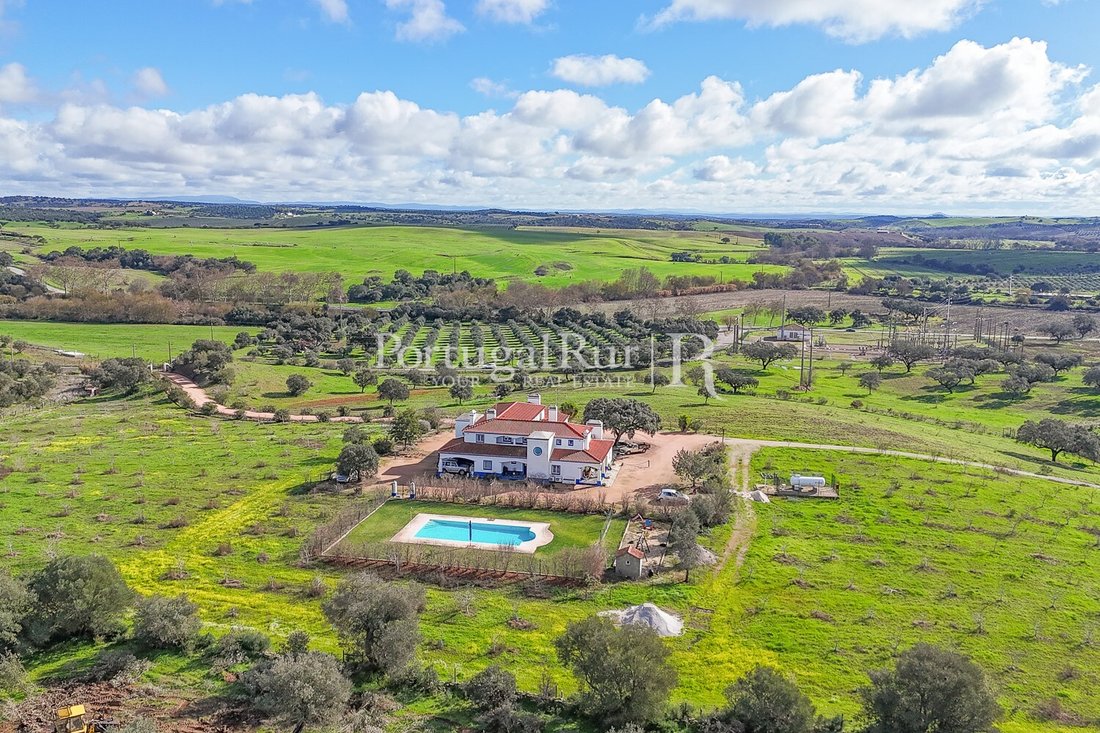 Finca in Terena (Sao Pedro), Distrikt Évora, Portugal 2 - 10815985