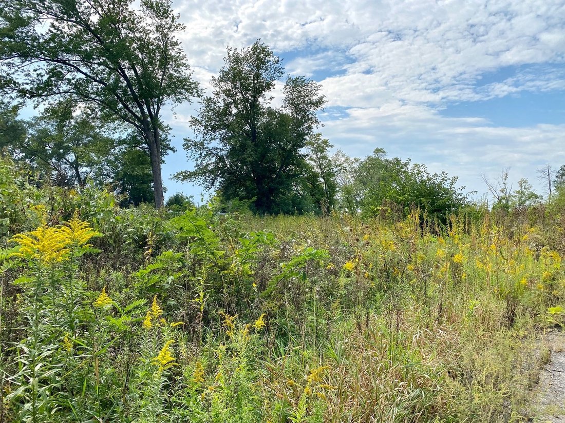Land in Mundelein, Illinois, United States 4 - 17147808