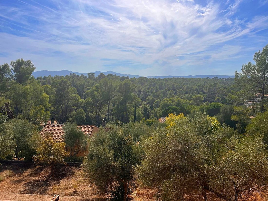 Villa in Sud, Vidauban, France 3 - 17149831