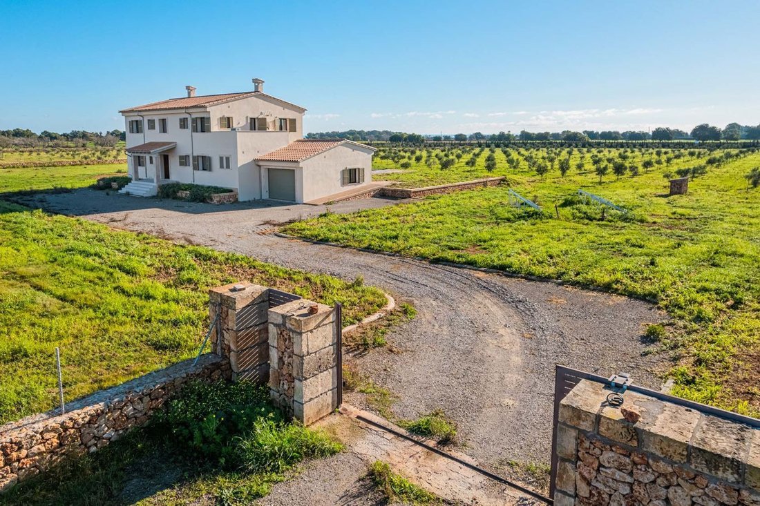 Finca in Manacor, Balearic Islands, Spain 2 - 17147648