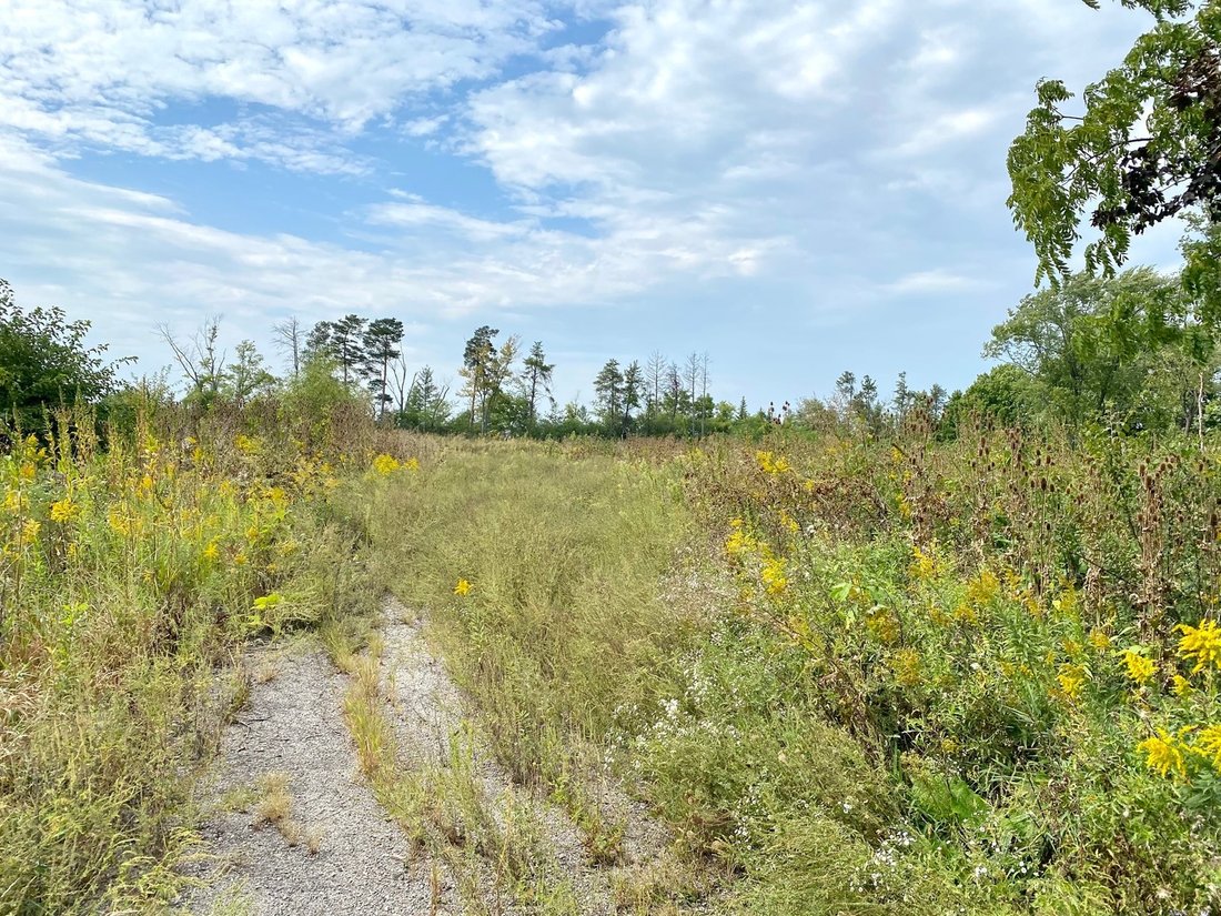 Land in Mundelein, Illinois, United States 3 - 17147808