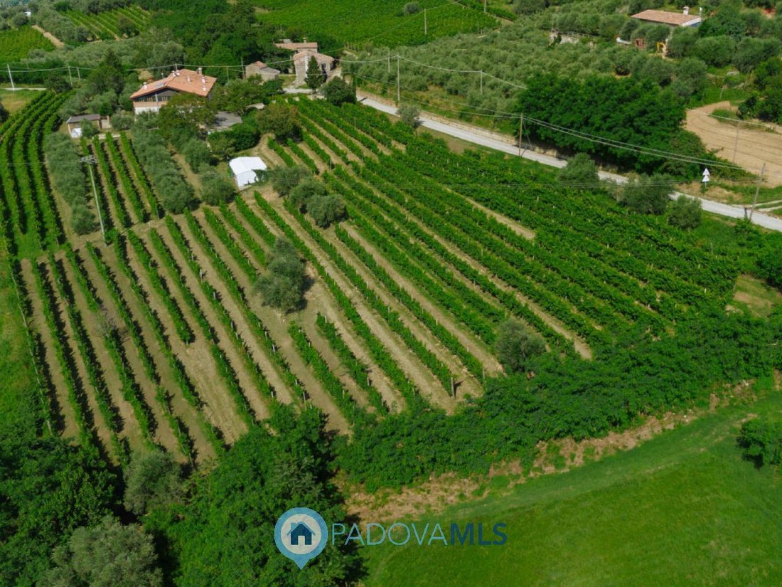 House in Cinto Euganeo, Veneto, Italy 4 - 17150519