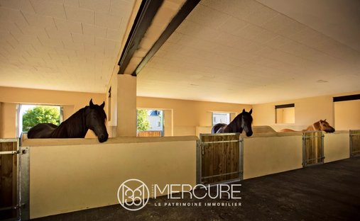 17th C. Chateau (With A Section Dedicated To Events) And 5 Acres In Centre Of France