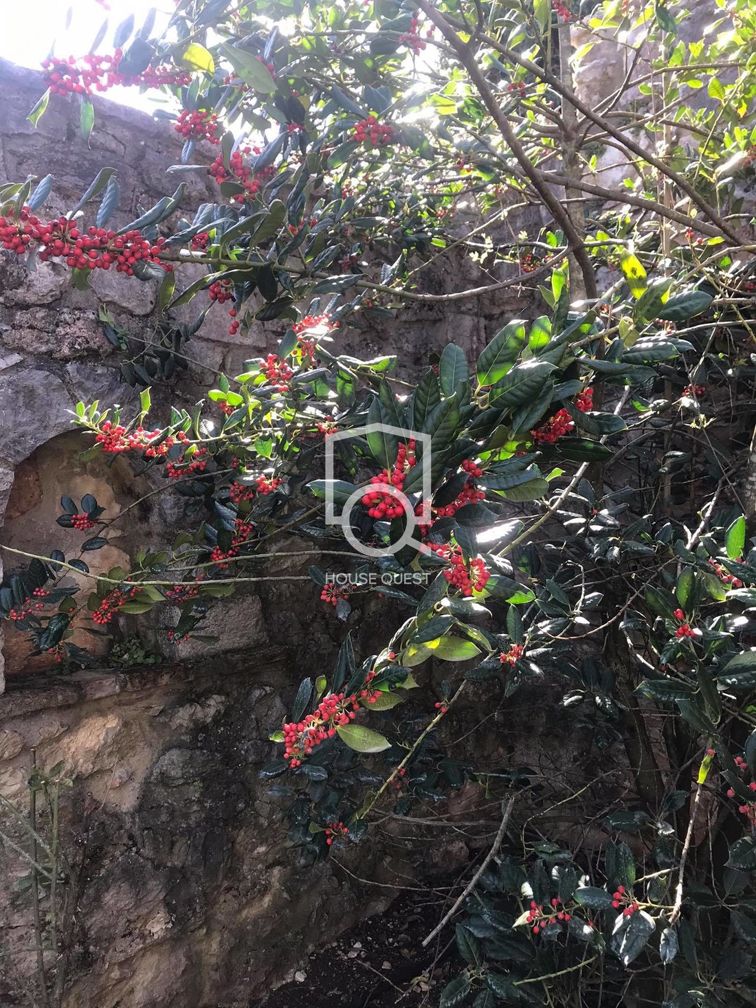 Villa in Koinotita Amphikleias, Amfiklia, Greece 2 - 17148854