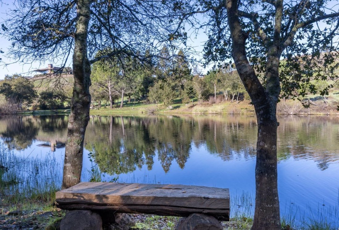 House in Napa, California, United States 5 - 15289481