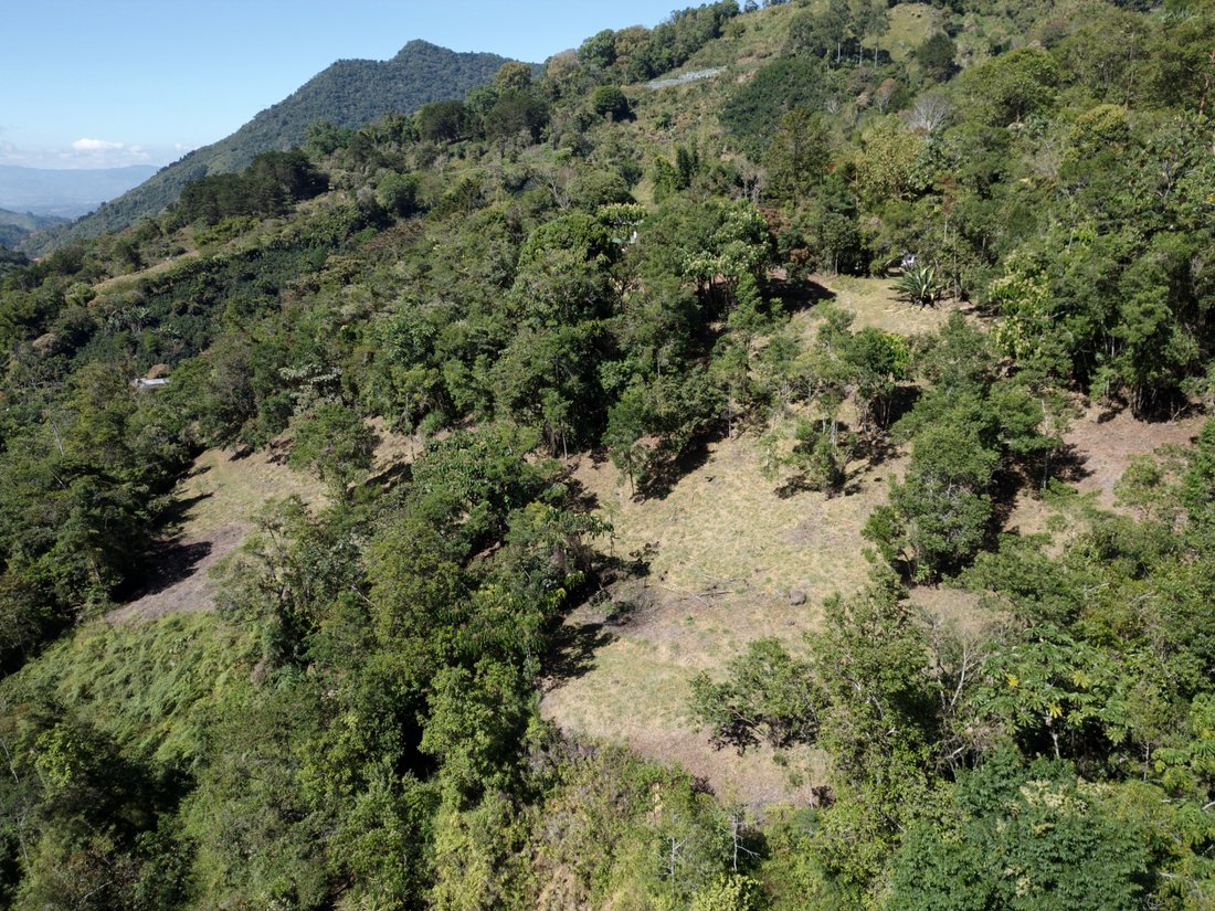 Land in Rivas, San José Province, Costa Rica 5 - 17150045