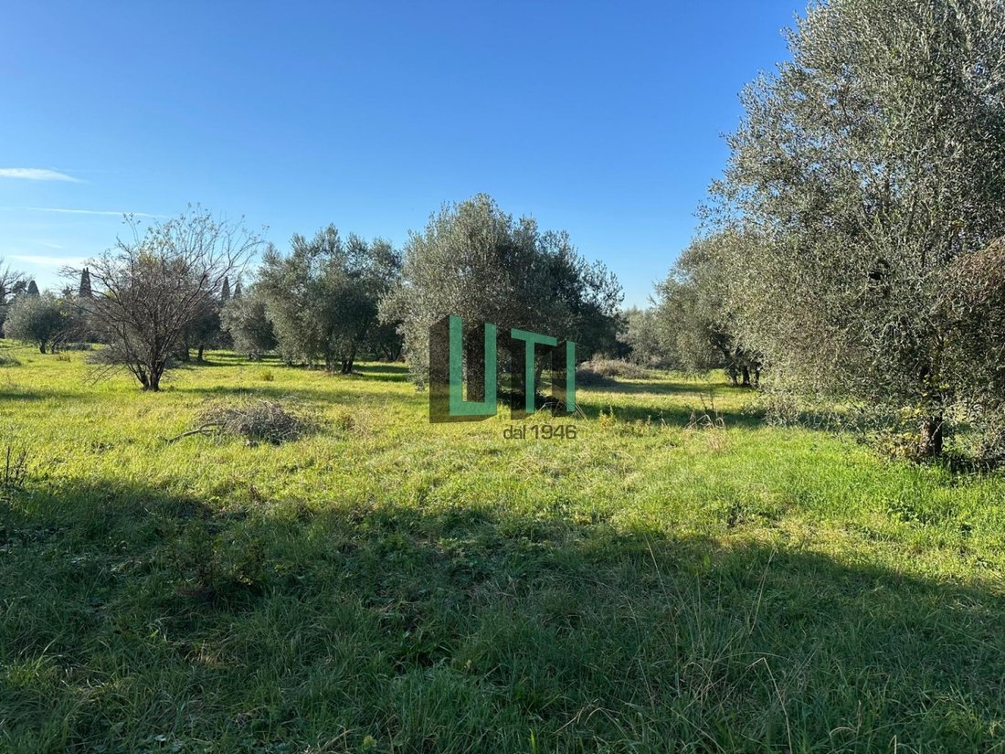 Country House in Center, Bagno A Ripoli, Tuscany 3 - 17146283