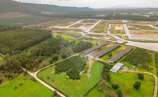 Land in Benedita, Leiria District, Portugal 1