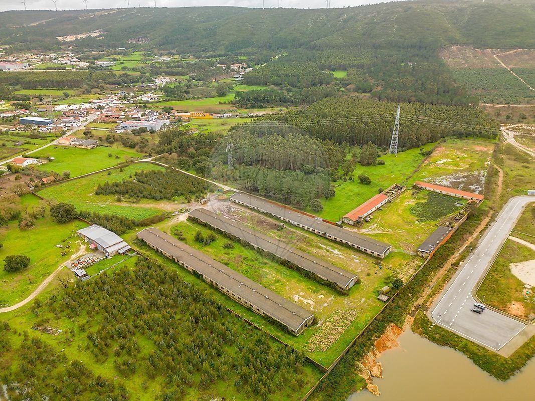 Terreno en Benedita, Distrito de Leiria, Portugal 3 - 17146441