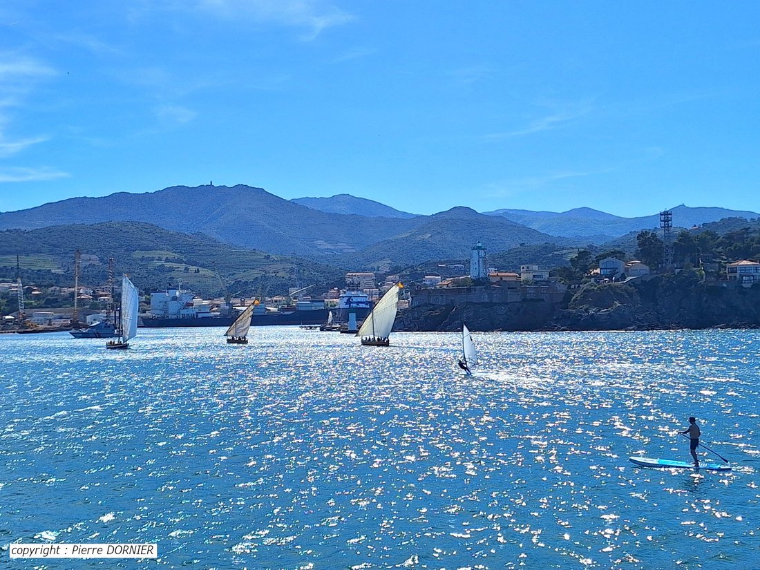 Apartment in Peripherie, Port-Vendres, France 1 - 17147225