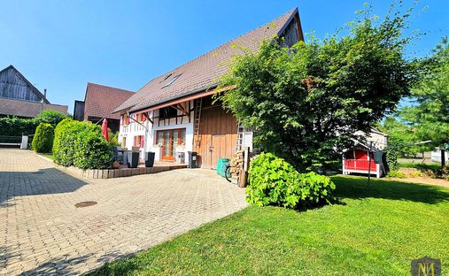 House in Hagenthal-le-Haut, Grand Est, France 1