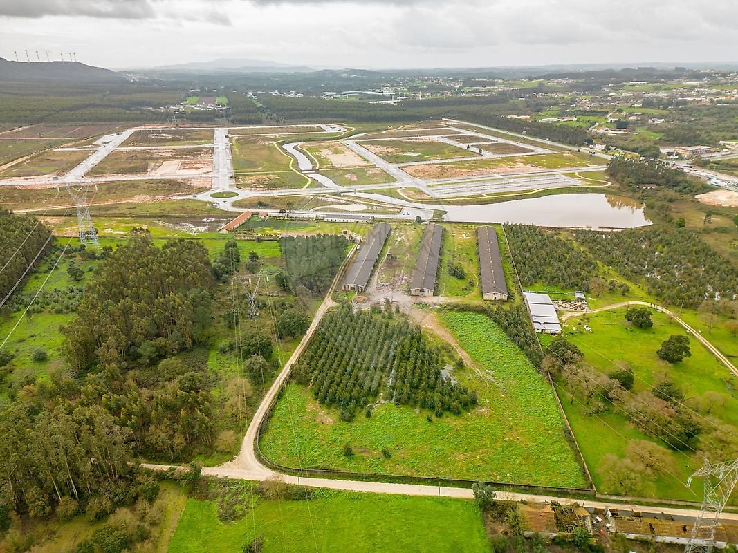 Land in Benedita, Leiria District, Portugal 2 - 17146441