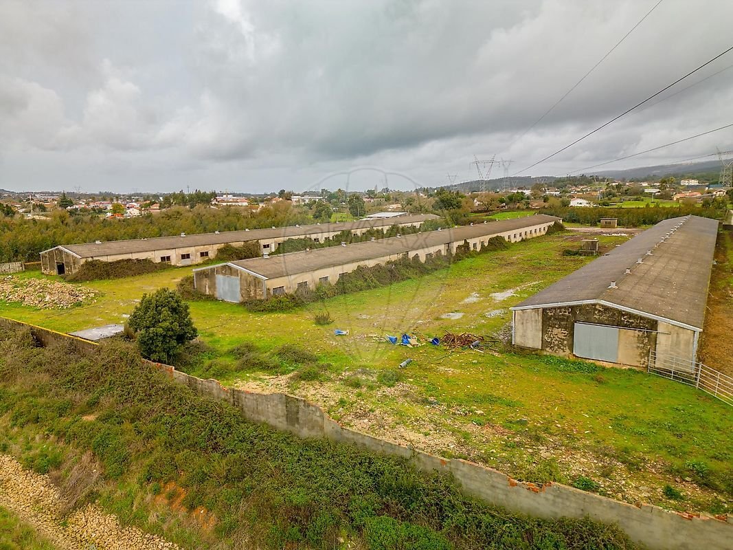 Land in Benedita, Leiria District, Portugal 5 - 17146441