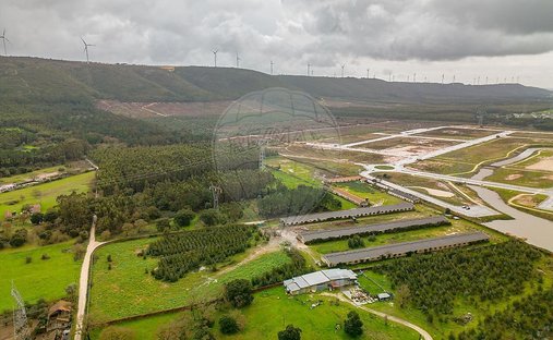 Terrain à Benedita, Leiria, Portugal 1