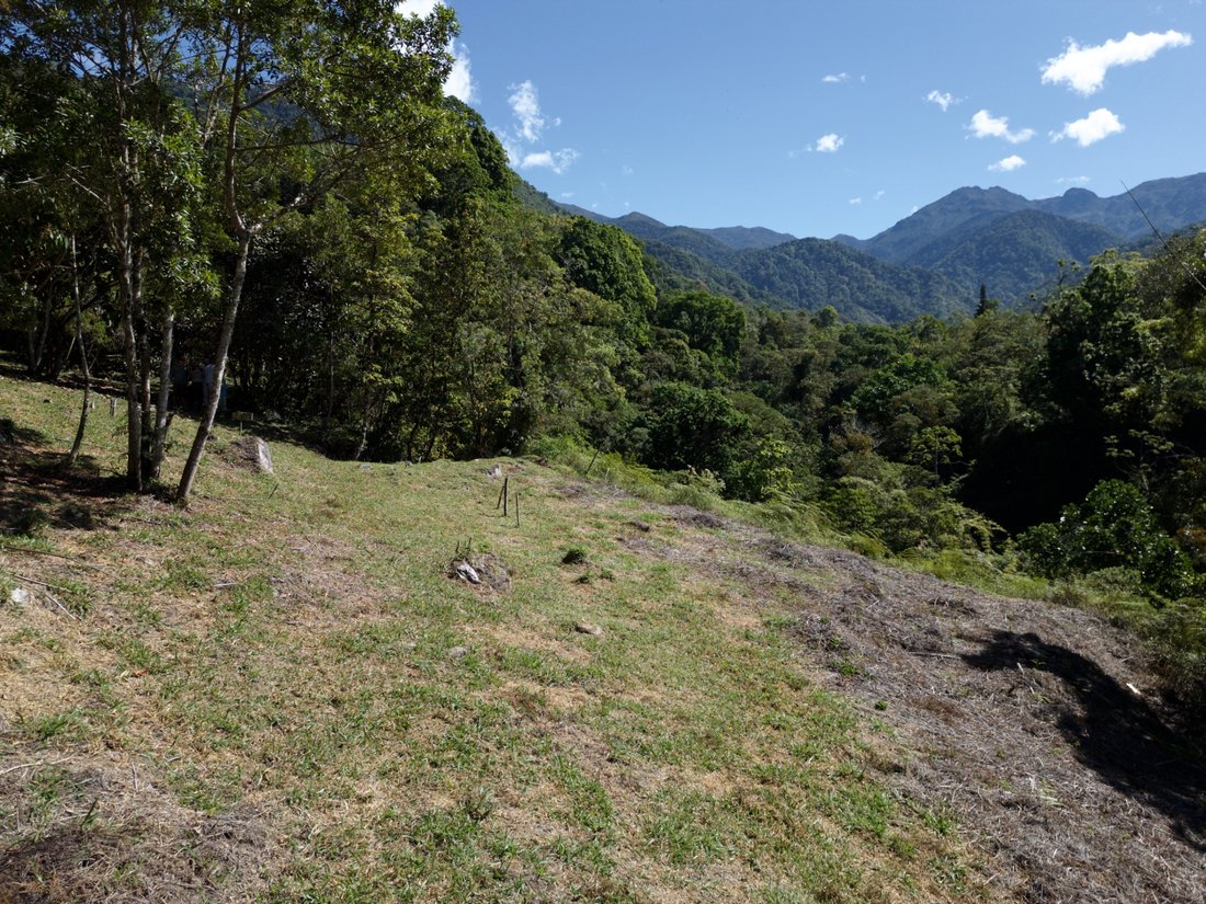 Land in Rivas, San José Province, Costa Rica 3 - 17150045