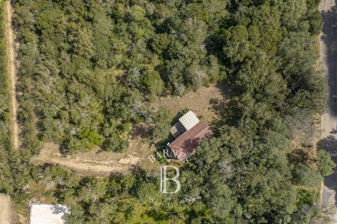 Land in Porto-Vecchio, Corsica, France 5 - 17147579
