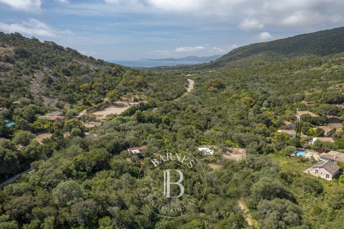 Land in Porto-Vecchio, Corsica, France 2 - 17147579