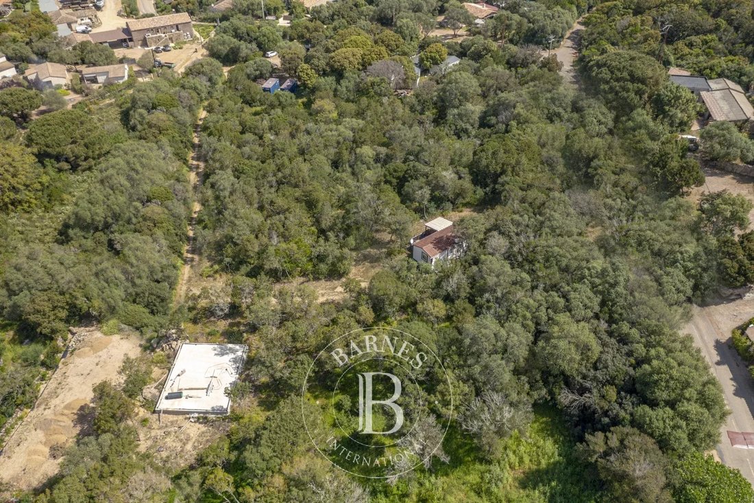 Land in Porto-Vecchio, Corsica, France 4 - 17147579