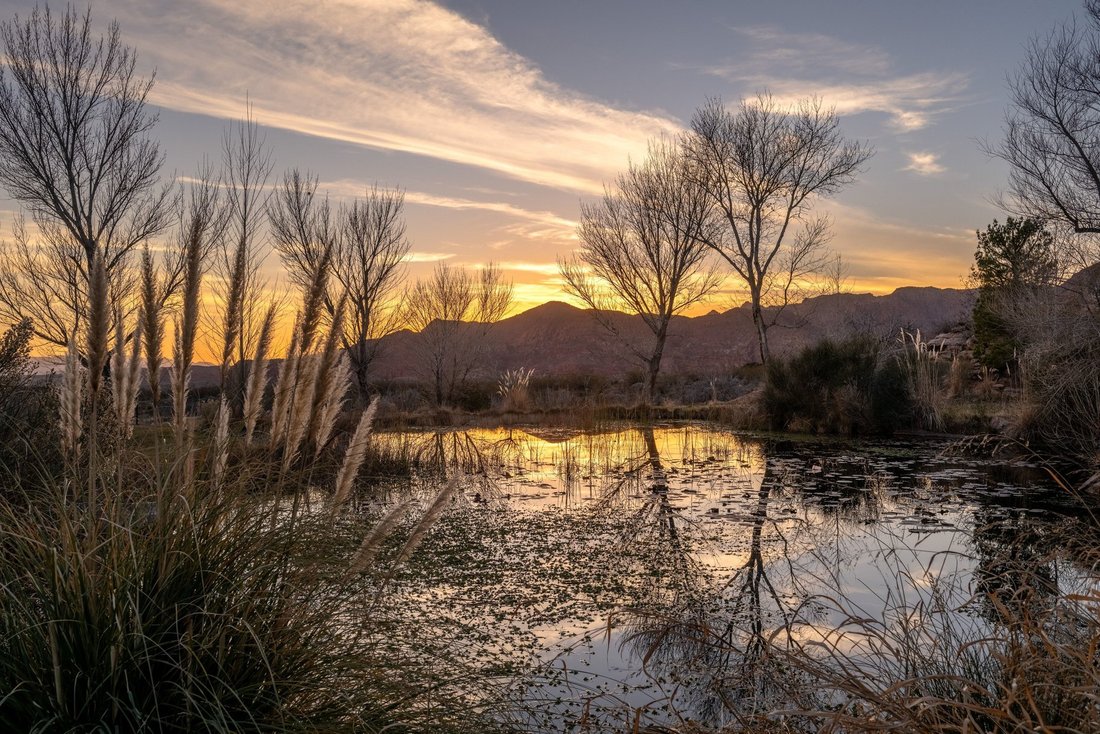 House in Leeds, Utah, United States 2 - 17148364