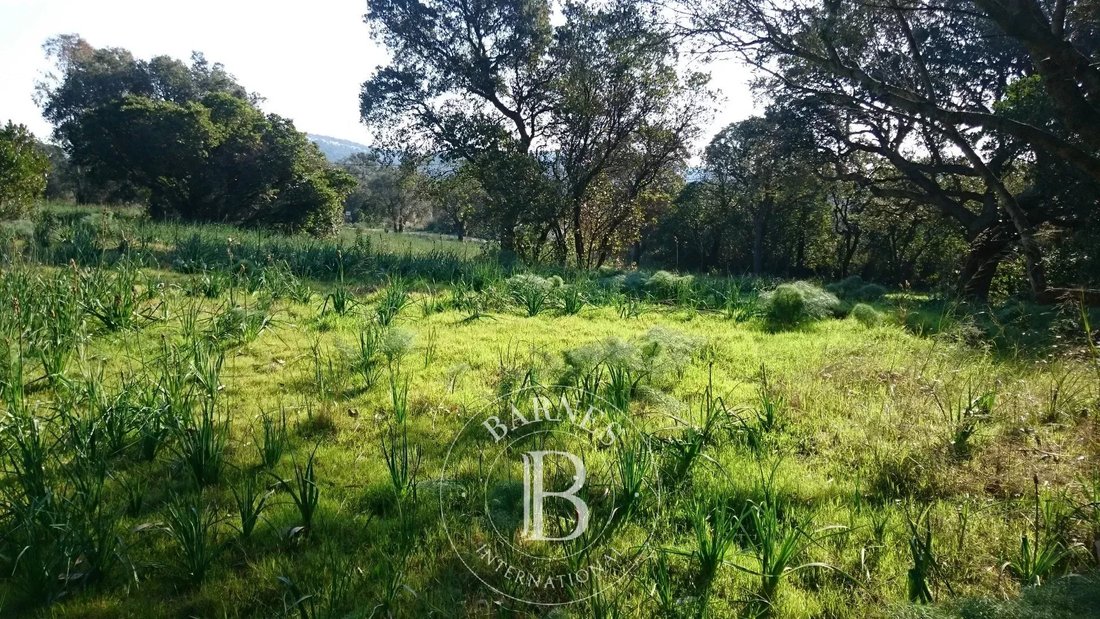 Land in Lecci, Corsica, France 2 - 17147577
