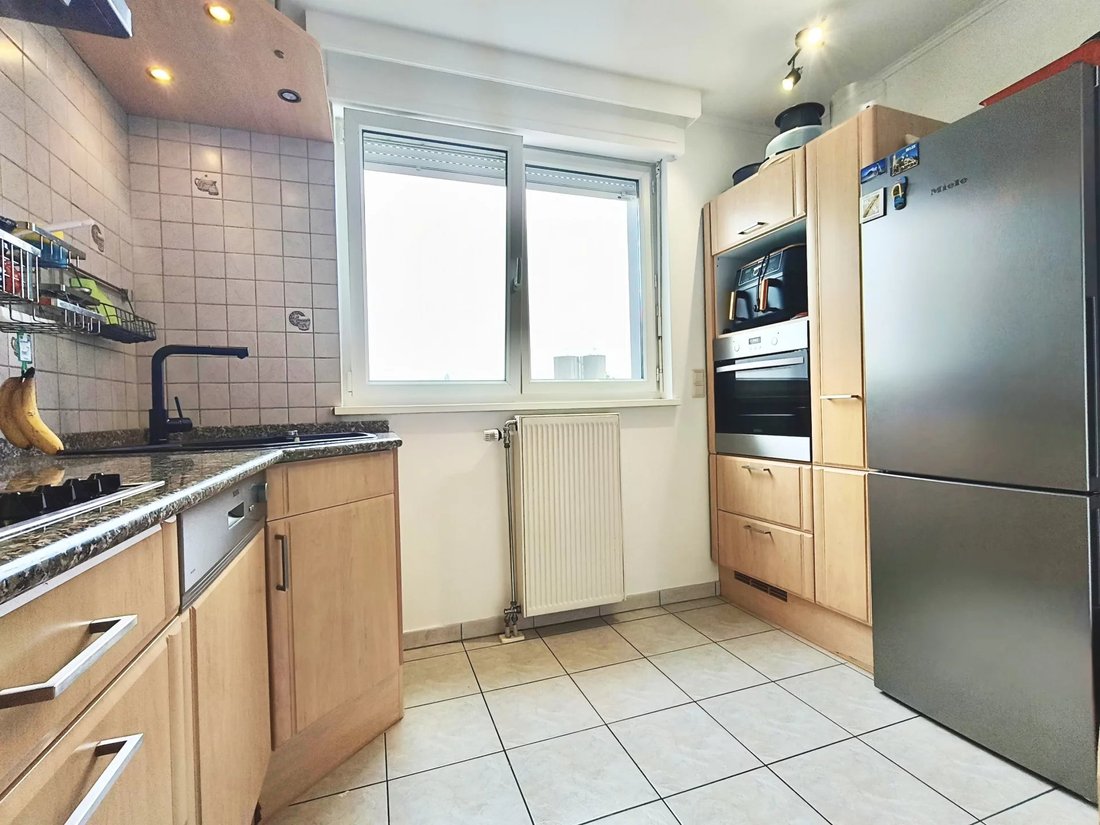 Apartment in Ehlerange, Esch-sur-Alzette, Luxembourg 5 - 15899679