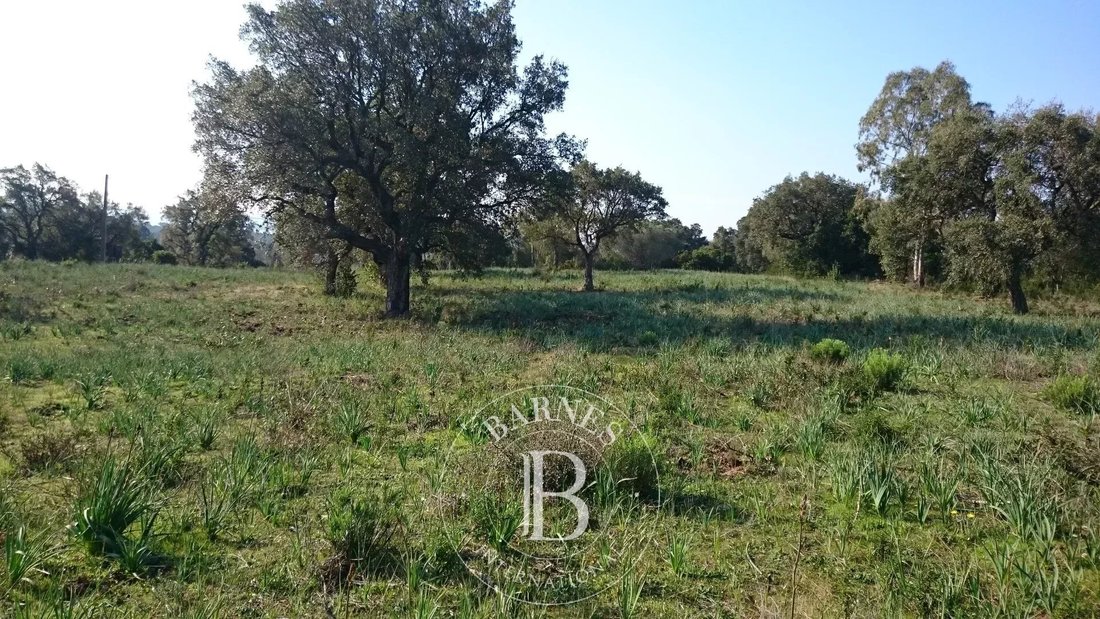 Land in Porto-Vecchio, Corsica, France 3 - 17147579