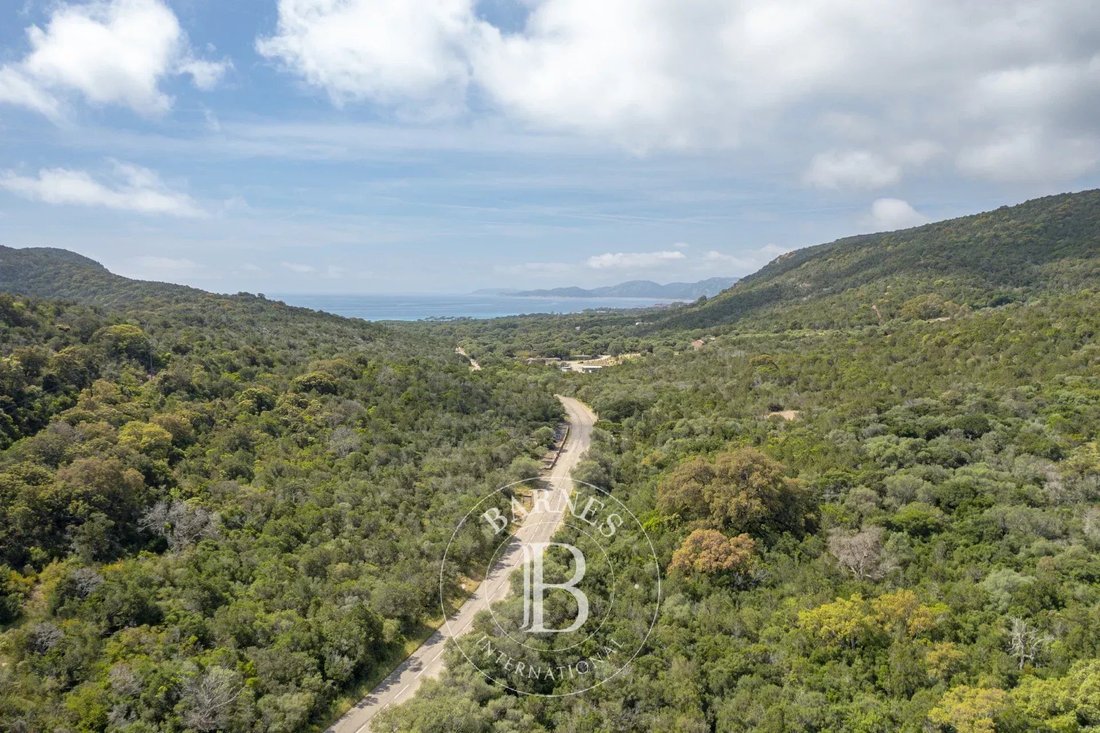 Land in Porto-Vecchio, Corsica, France 1 - 17147579