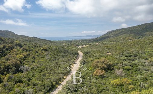 Land in Porto-Vecchio, Korsika, Frankreich 1