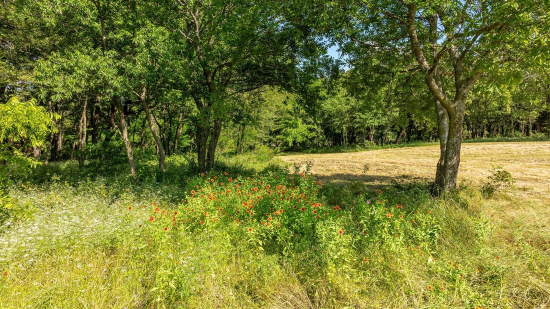 Land in Pilot Point, Texas, United States 4 - 17150420