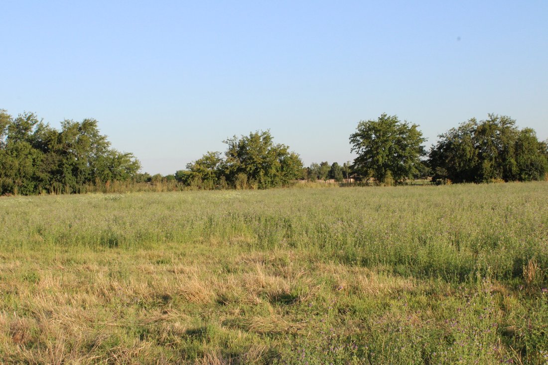 Land in Luján, Buenos Aires Province, Argentina 1 - 17151922
