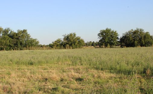 Land in Luján, Buenos Aires Province, Argentina 1