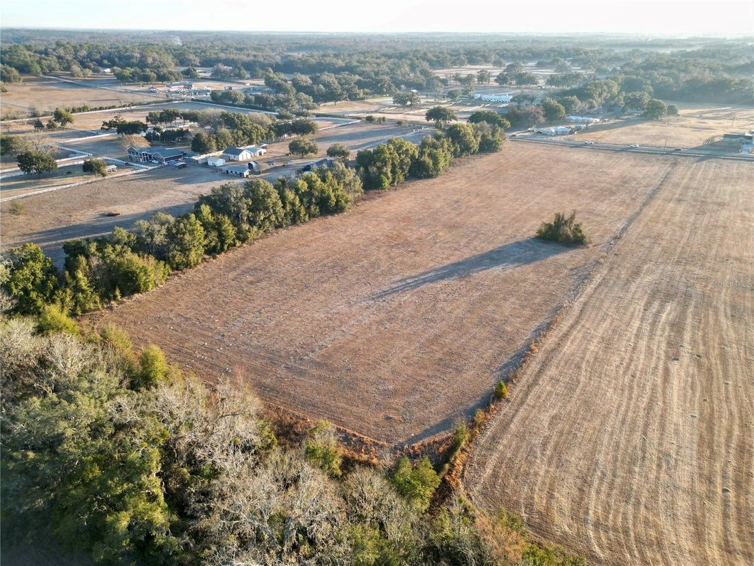 Land in Ocala, Florida, Vereinigte Staaten 4 - 17150821