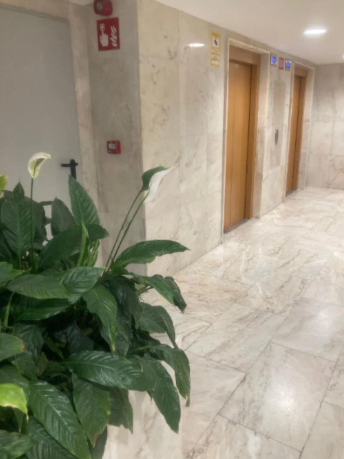 Apartment in Moncloa-Aravaca, Madrid, Spain 2 - 17151627