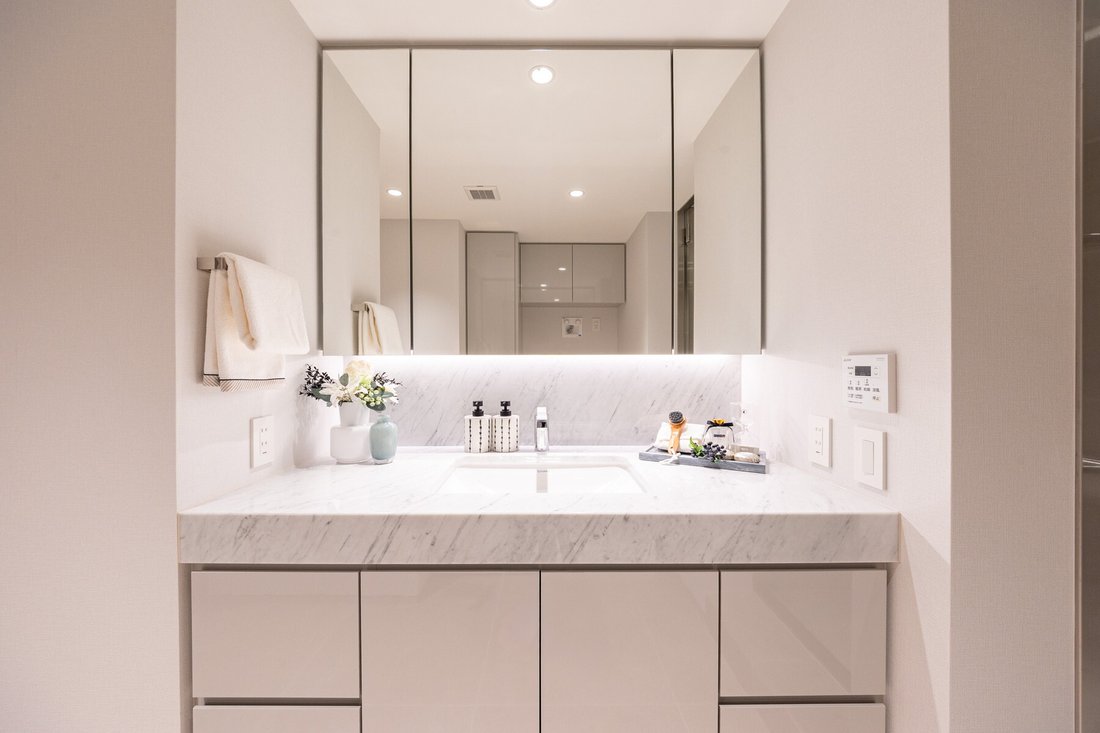 Condo in Minato City, Tokyo, Japan 4 - 17151281